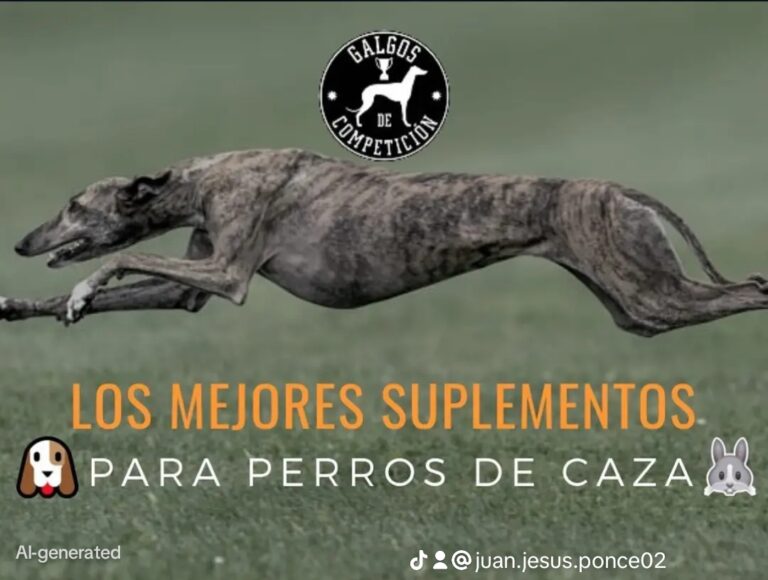 Venta online de alimentación deportiva para perros con envío rápido a Sevilla