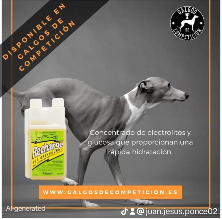 Galgos de Competición especialistas en linimentos y cuidados para galgos de pista
