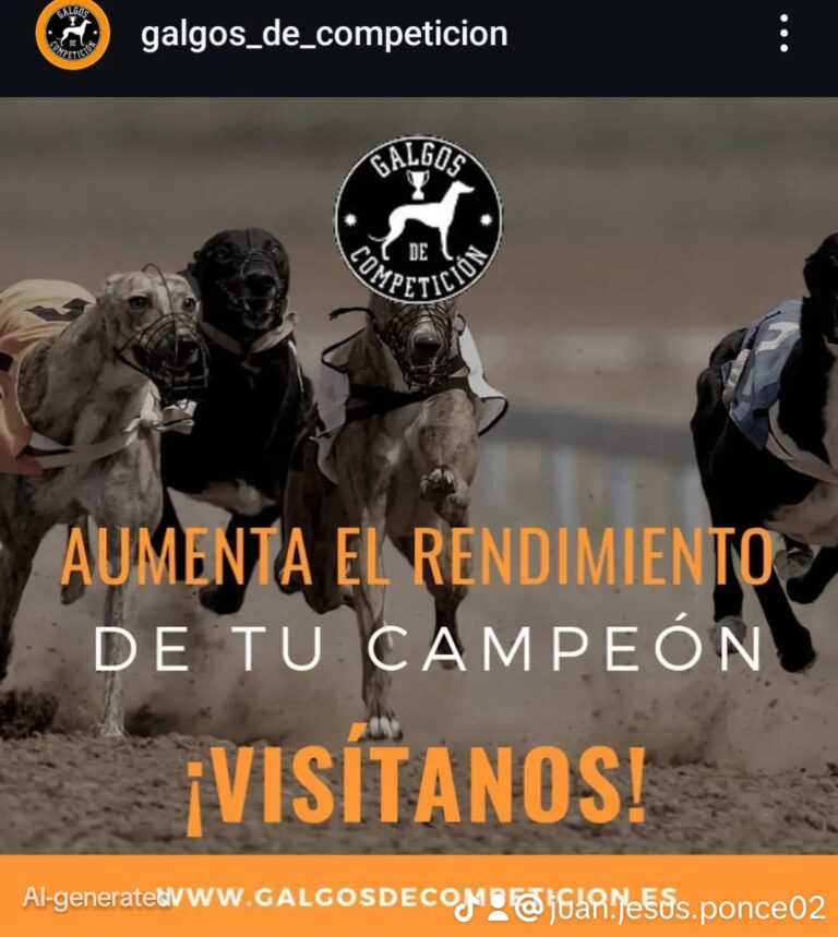 Productos para mejorar la recuperación muscular en perros de competición
