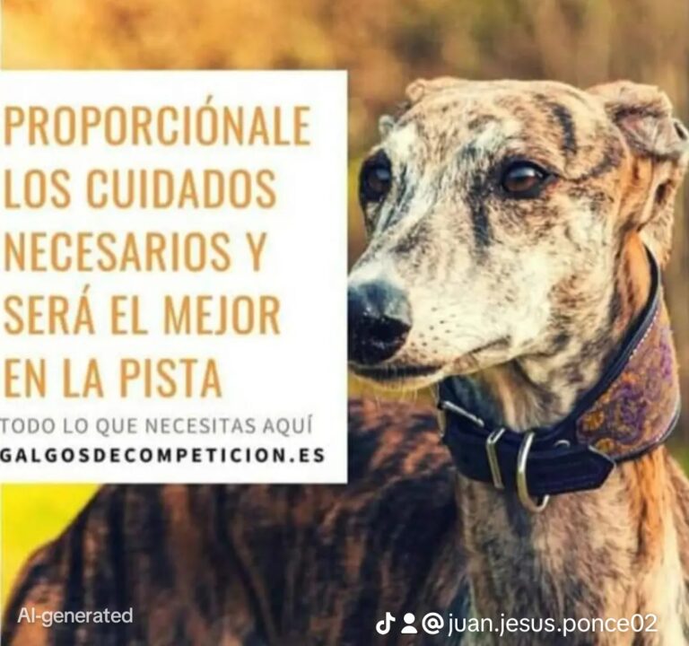Asesoramiento personalizado en suplementación según peso y calendario de carreras