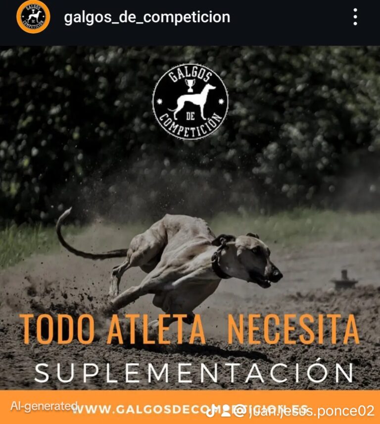 Galgos de Competición productos de nutrición para perros de carrera en Sevilla
